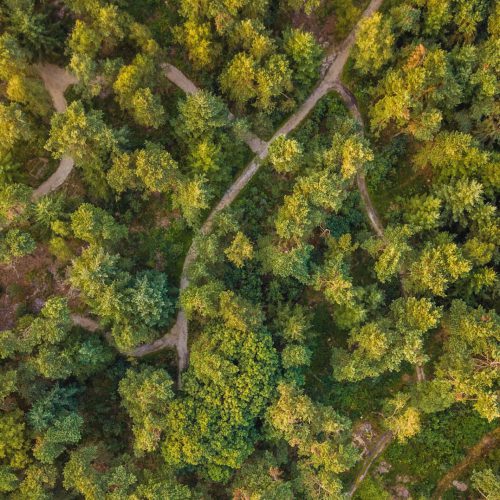natuurbegraven uitvaartverzorging nijmegen beuningen weurt